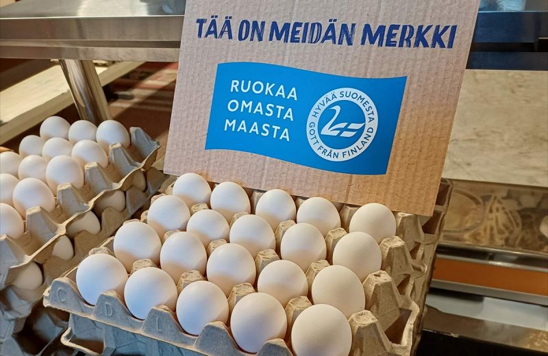 tuoreita-lattiakanalan-munia